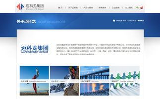 邁科龍官方網(wǎng)站設(shè)計制作 成功案例 沙漠風(fēng)網(wǎng)站建設(shè)公司