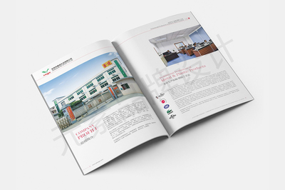 東莞一站式視覺營銷服務 畫冊設計、LOGO設計、網(wǎng)站建設與宣傳片拍攝制作全解析